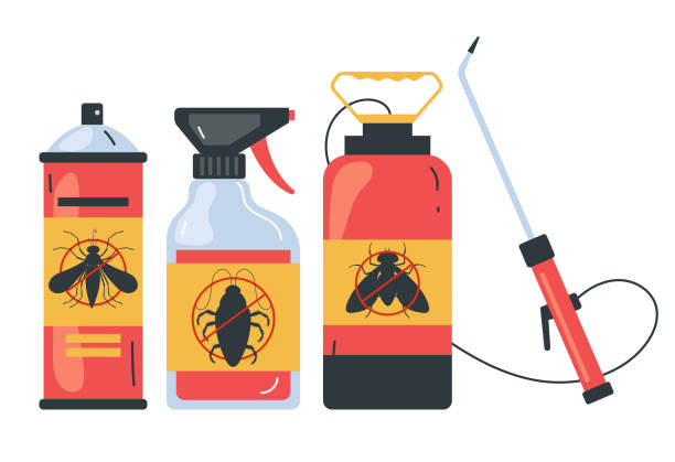 Best Affordable Pest Control Services  in Rockton, IL