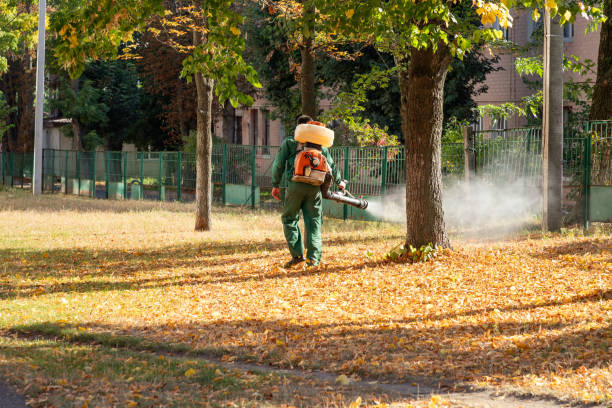 Pest Control for Restaurants in Rockton, IL