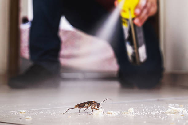 Best Commercial Pest Control Services  in Rockton, IL